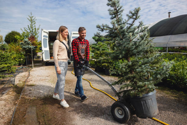 Albion, NE Tree Services Company