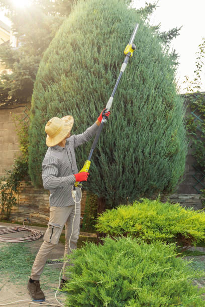 Leaf Removal in Albion, NE